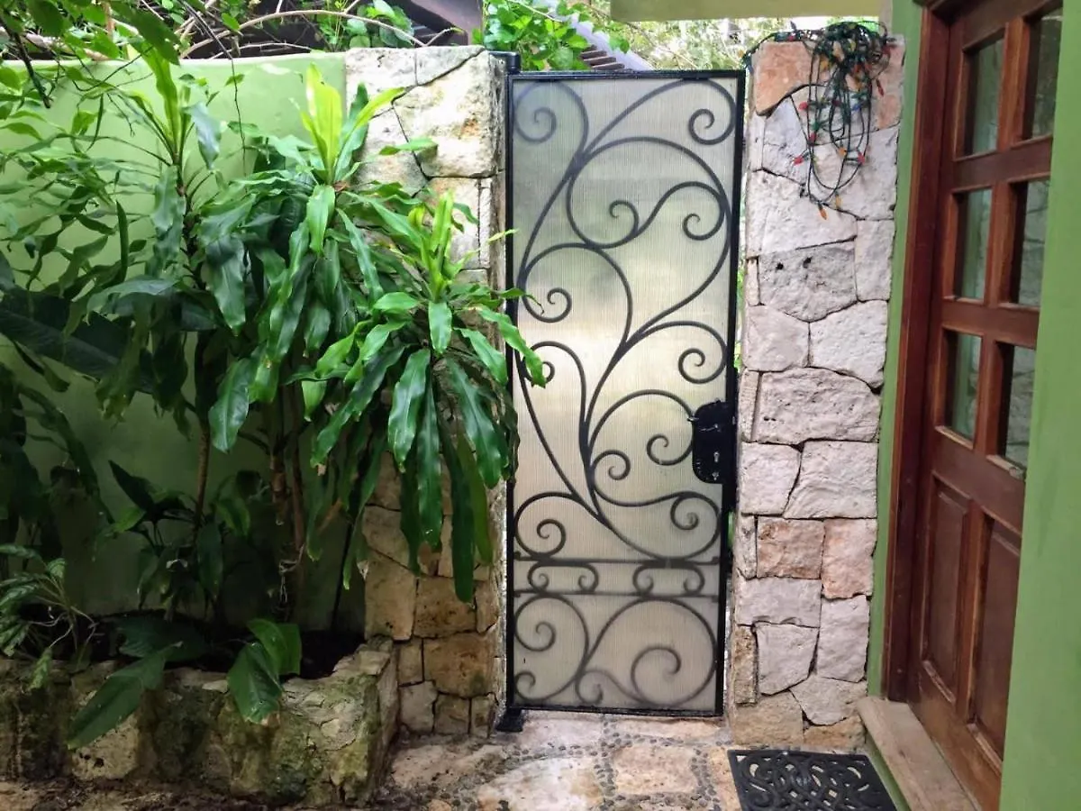 Casa vacanze Casa Beard, Spacious Guest House With High Speed Wifi & Pool. Playa del Carmen