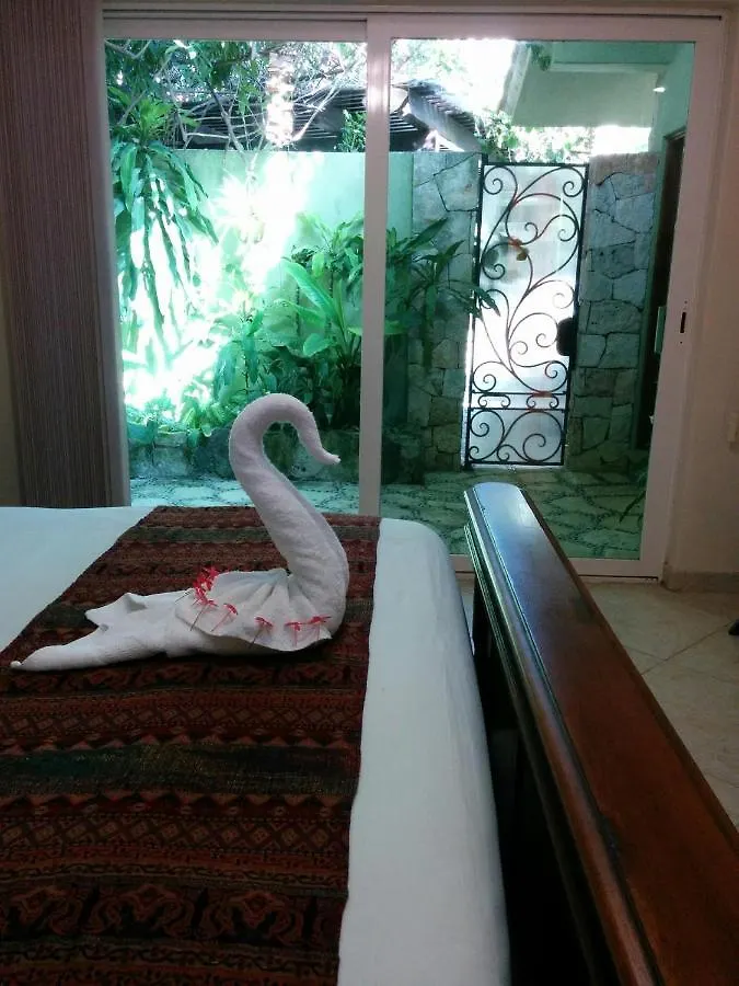 Casa vacanze Casa Beard, Spacious Guest House With High Speed Wifi & Pool. Playa del Carmen